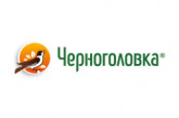 Черноголовка
